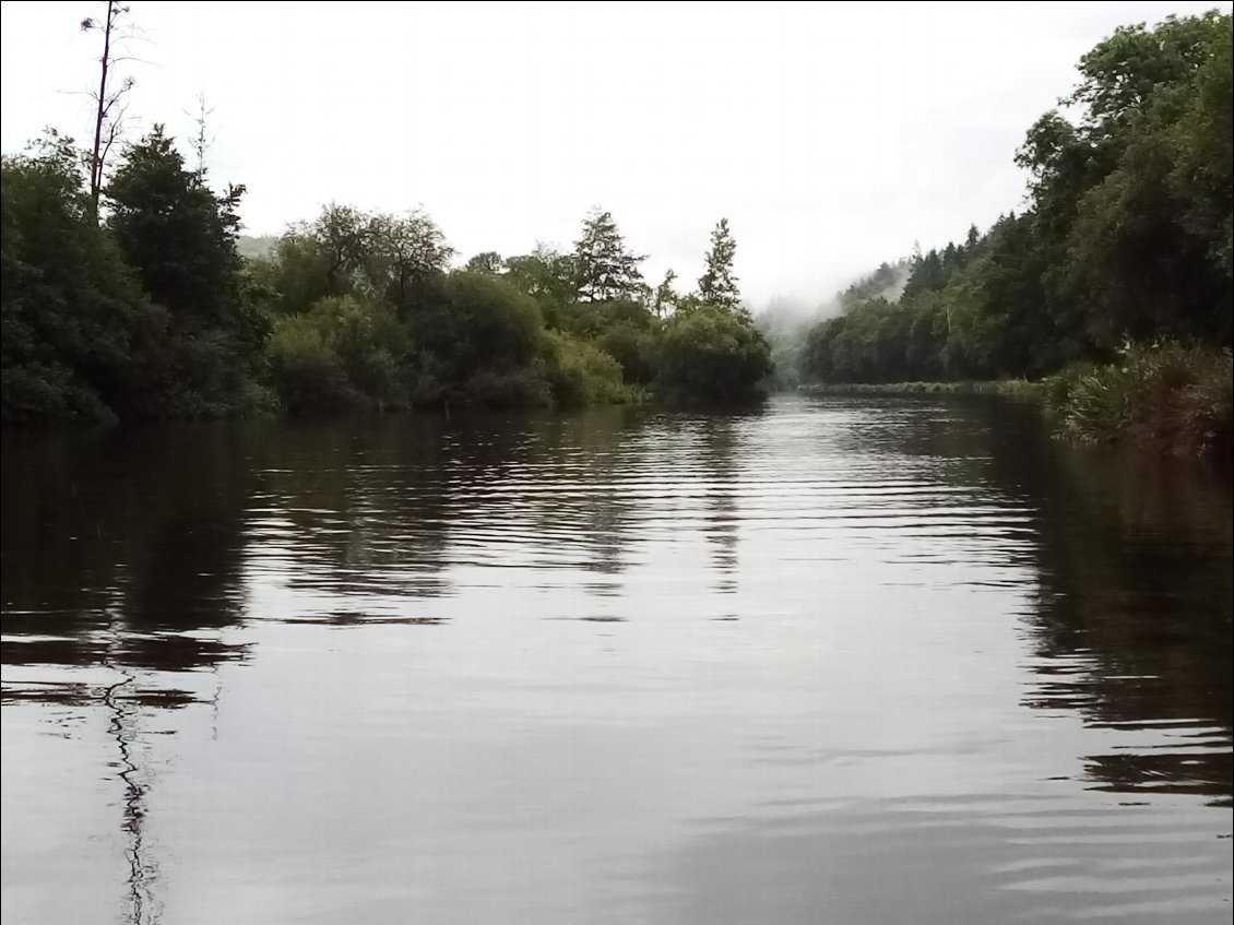 La (grosse) pluie cesse pour un moment, ambiance de forêt équatoriale avec cette humidité qui s'accroche aux arbres.