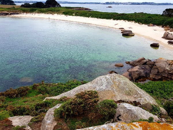 Île Callot