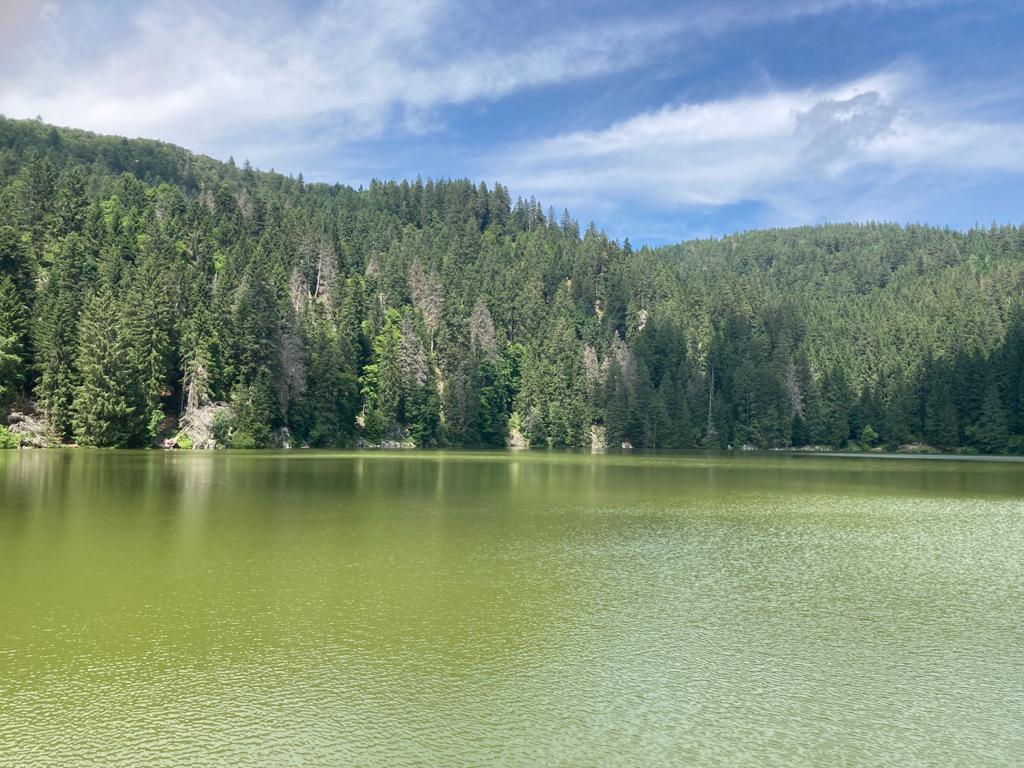 Lac vert