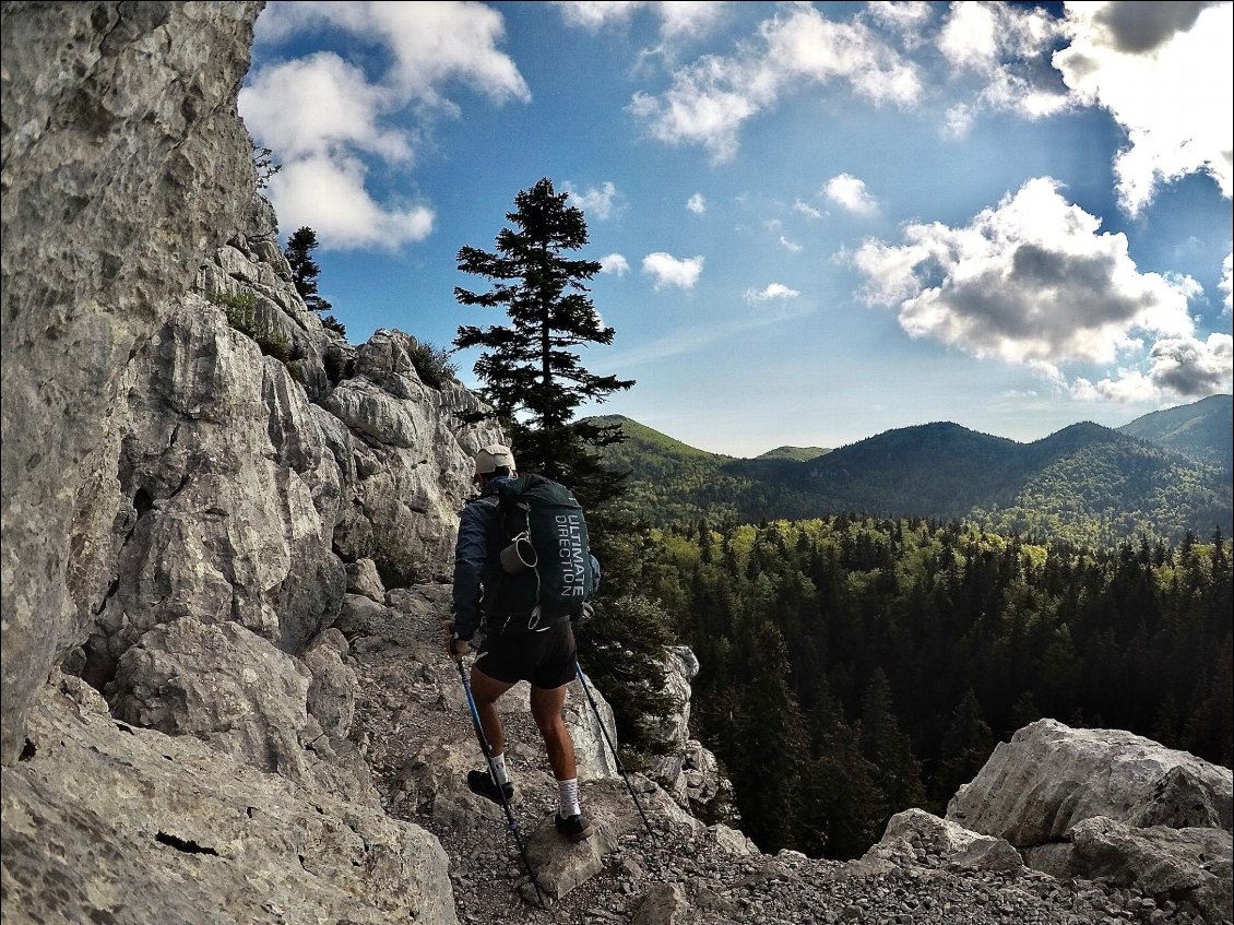 Dans les forêts du Velebit