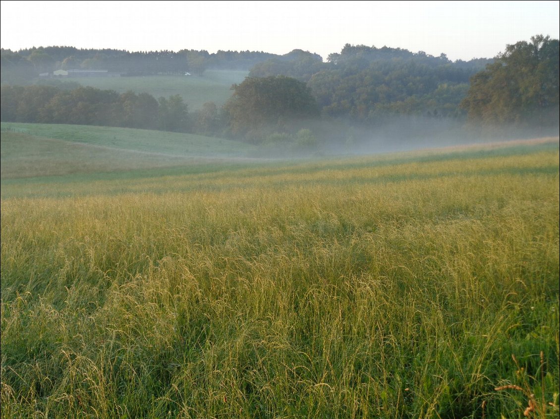 Les paysages de petit matin...