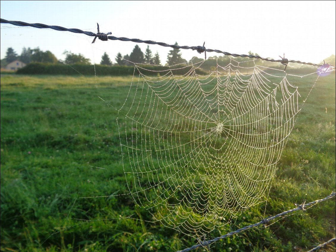 Tous les jours sur le métier remettre son ouvrage.