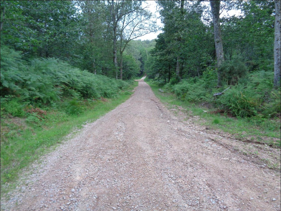 Le chemin est tracé, l'esprit peut divaguer.