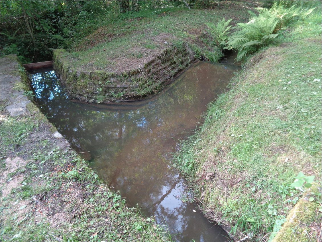 Les eaux, ici, sont domestiquées.