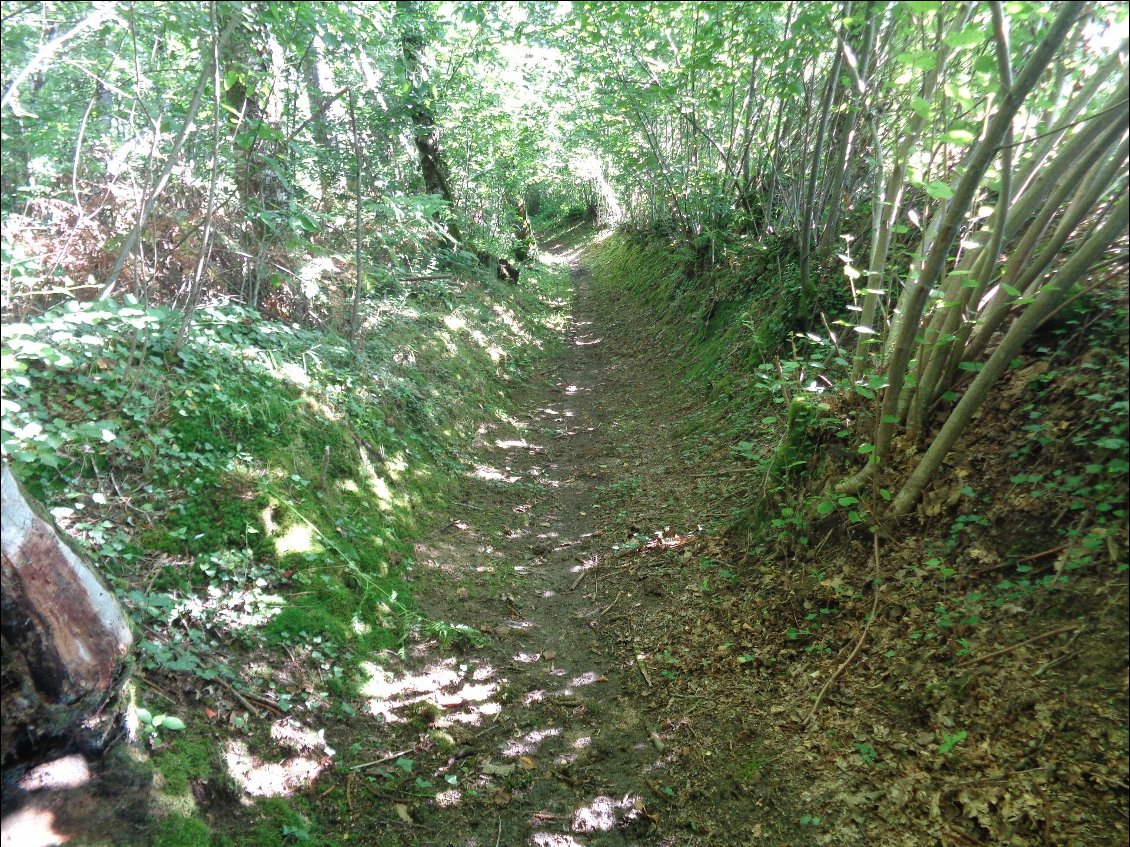 Un chemin noir mystérieux.