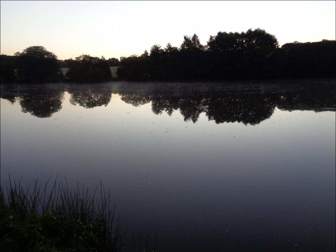 L'aube sur les eaux. J'adore.