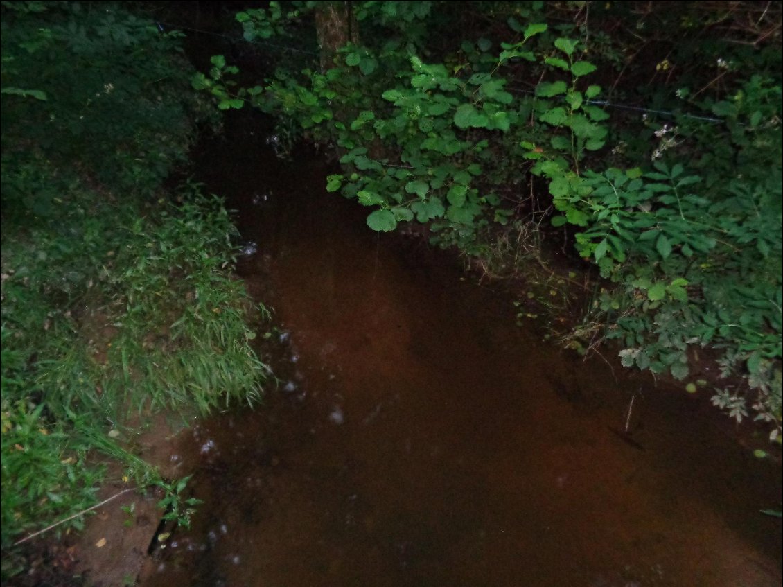 Petite Charente deviendra grande.