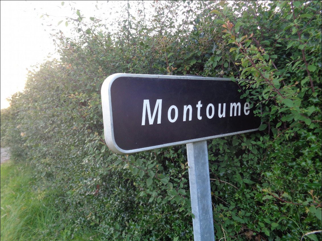 C'est ici qu'elle est tombée la météorite !