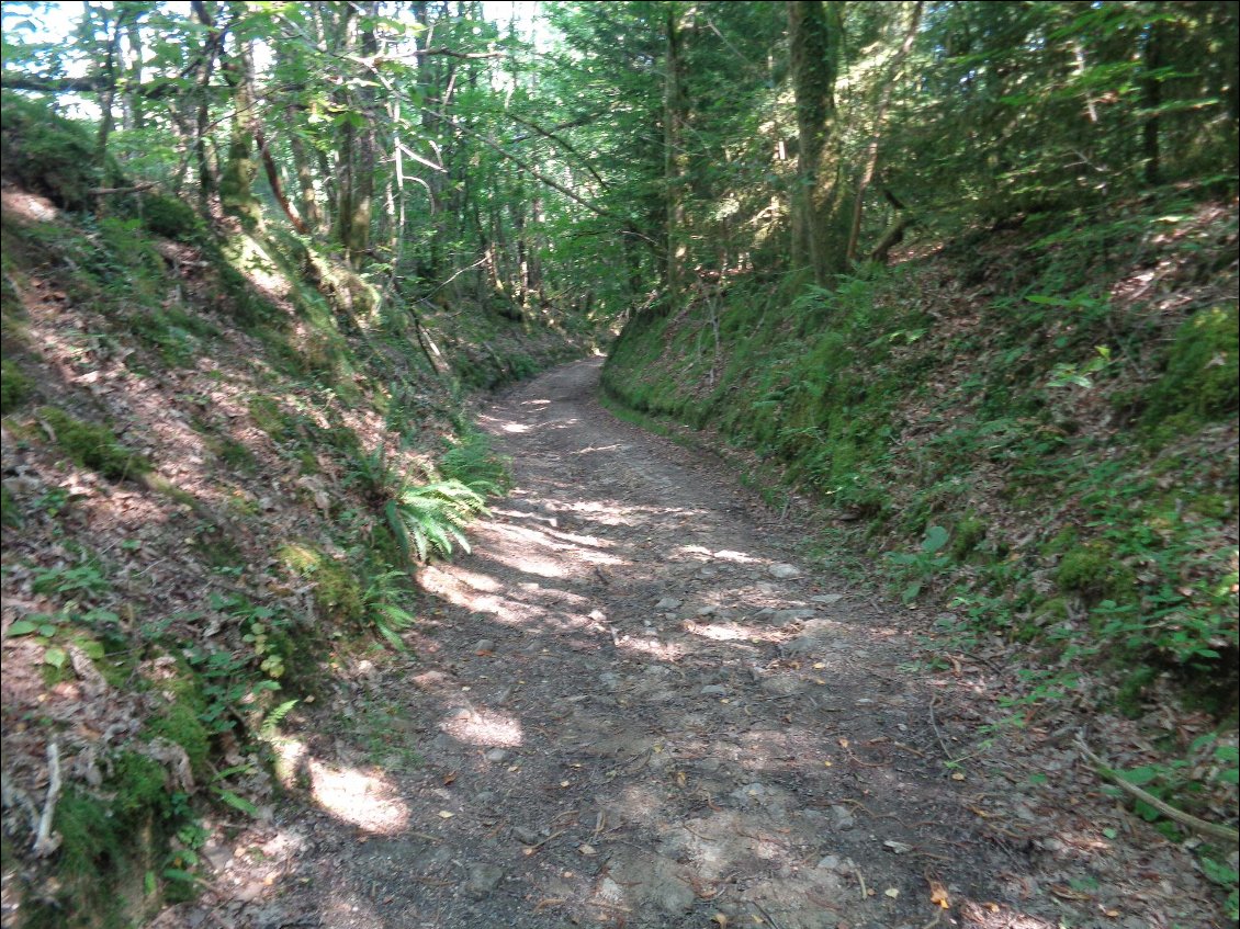 Chemin adoré...