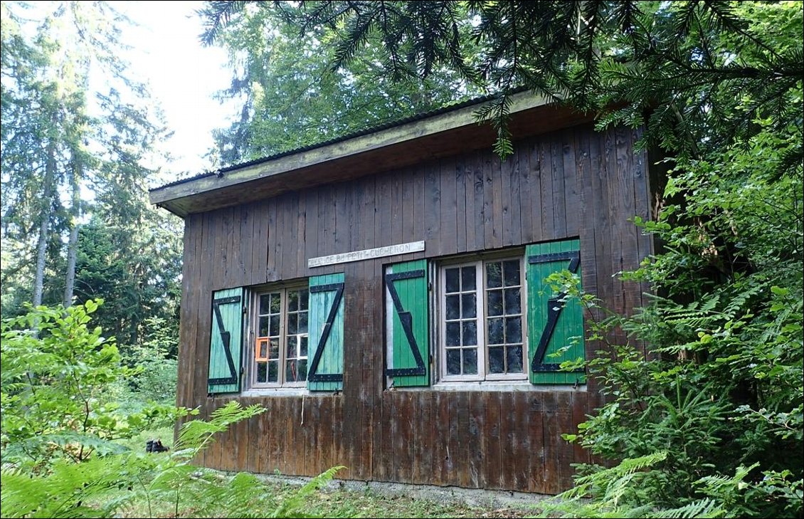 Refuge du Petit Cucheron, au milieu des bois