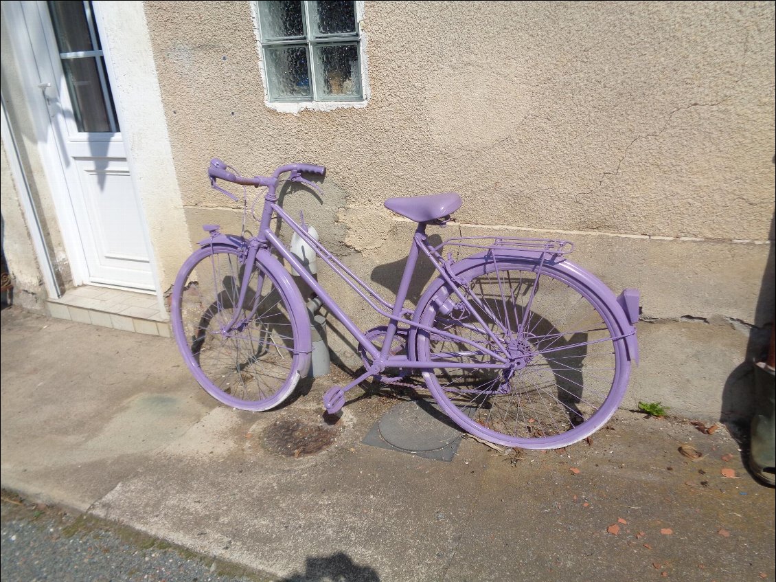 Vélo violet volé ?