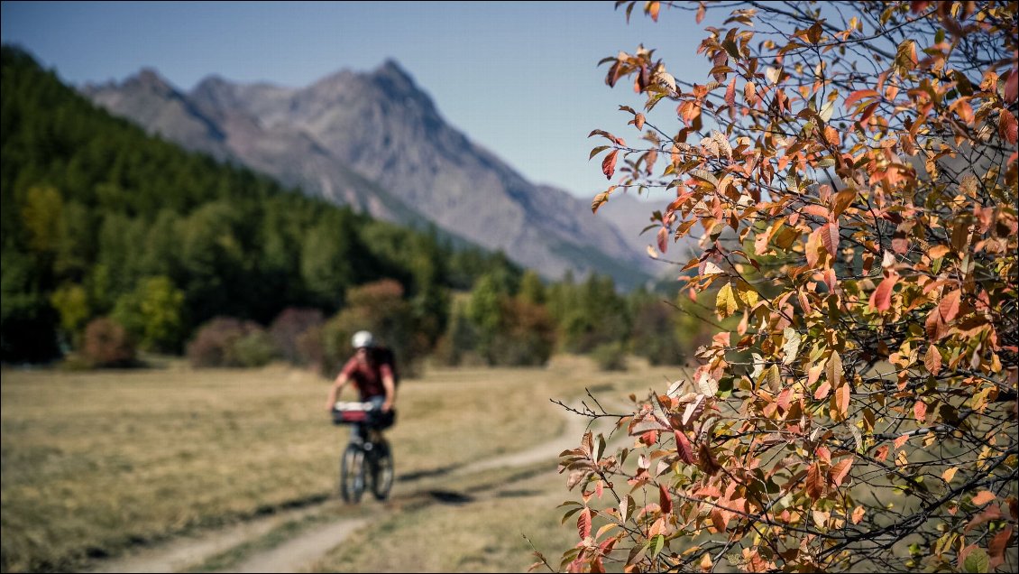 Je retrouve les arbres et avec, les couleurs d'automne.