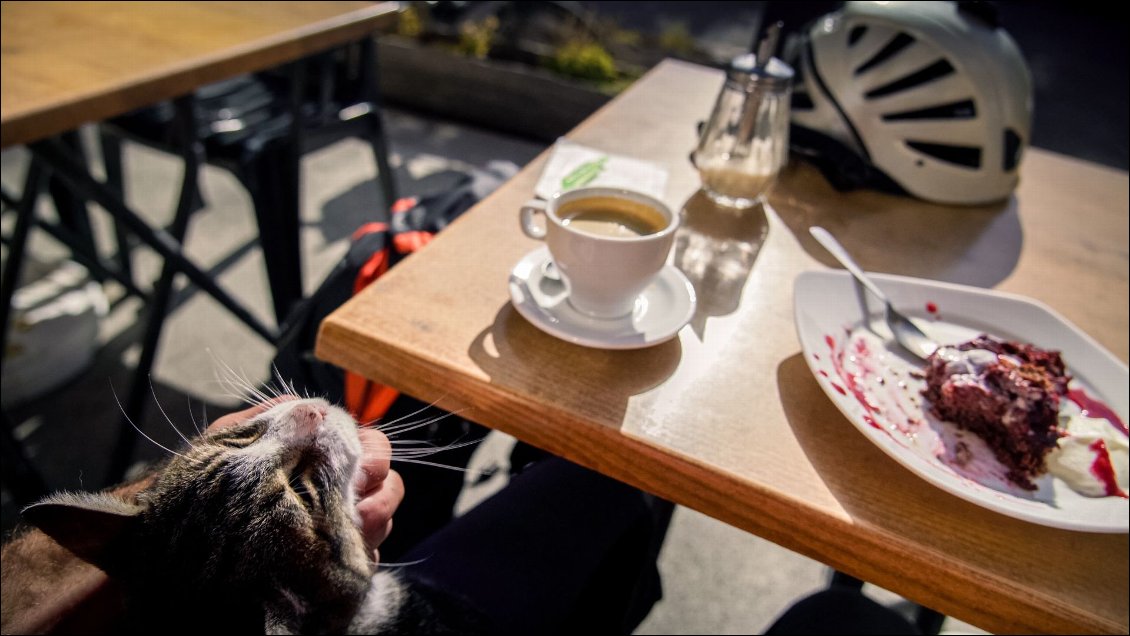 ... et le chat local pour un moment câlin.