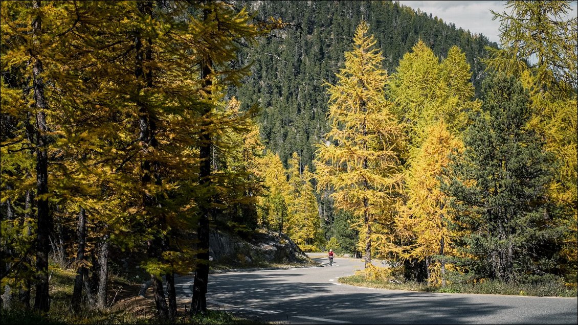 Revigoré, je prends la route pour le col d'Izoard.