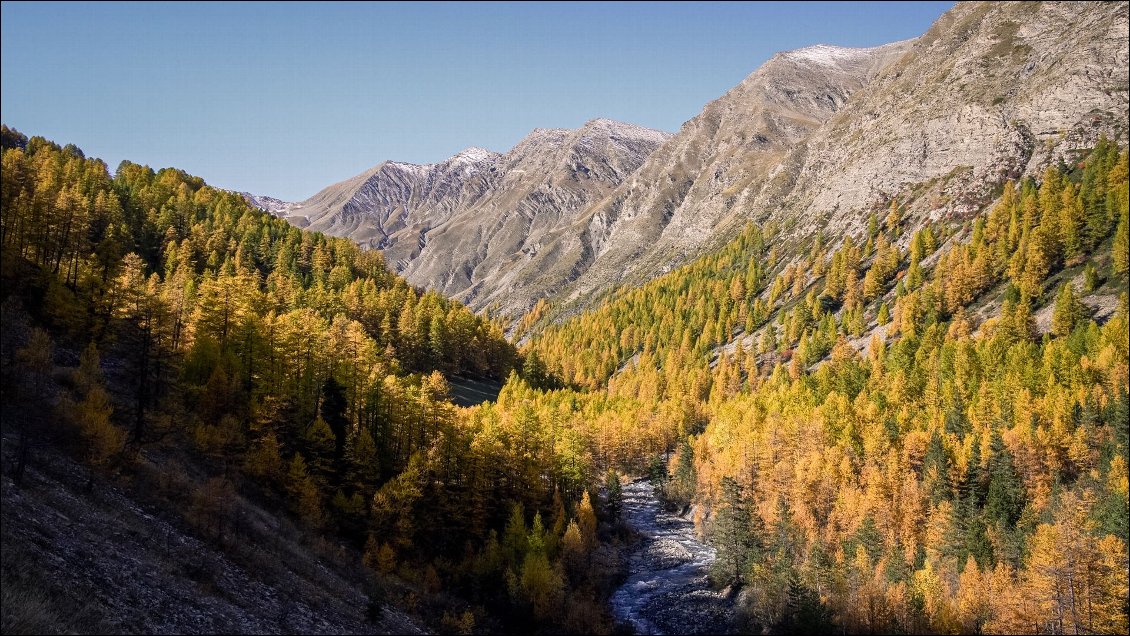 Retour dans les mélèzes colorés.