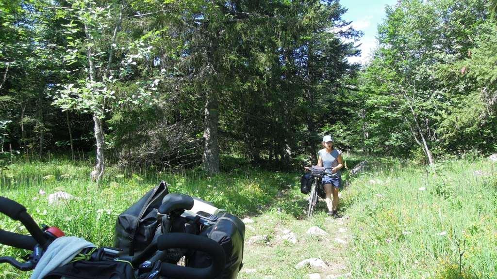 Sur le chemin de la Grande Traversée du Vercors