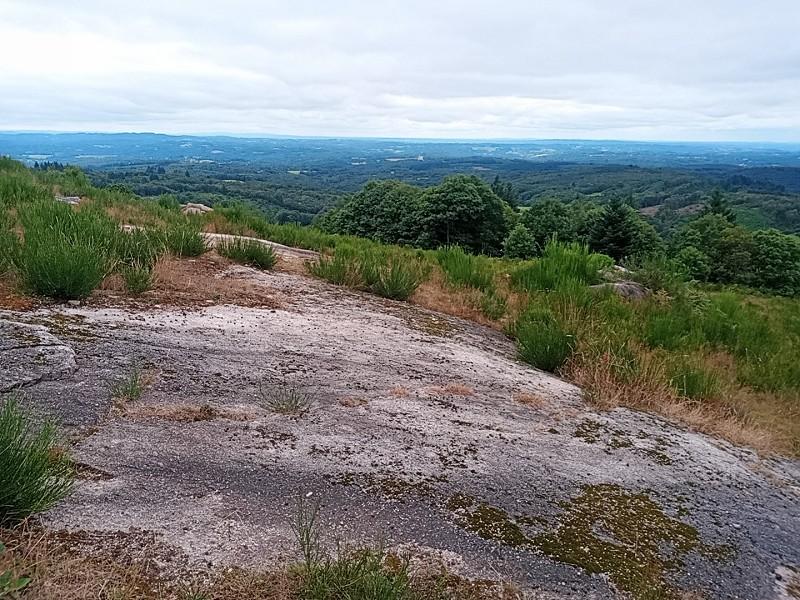 Premier point de vue. J'y ai déjeuné.