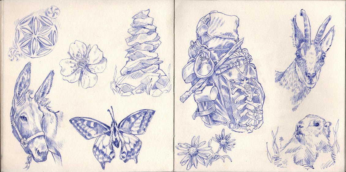 Illustration de Nadège Féron sur les animaux et élément marquant de ces randonnées.