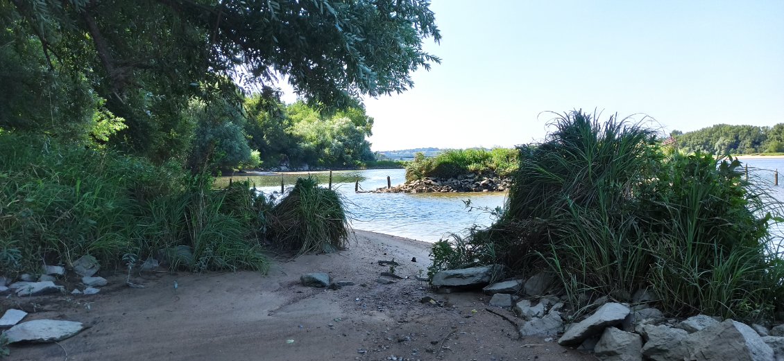 J12. A Champtoceaux il y a plusieurs petites plages comme celles-ci. La Loire y est légèrement encaissée, et le cadre particulièrement agréable.