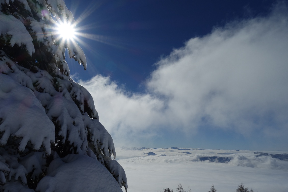 Parcourir la nature en toute saison. Photo Johanna