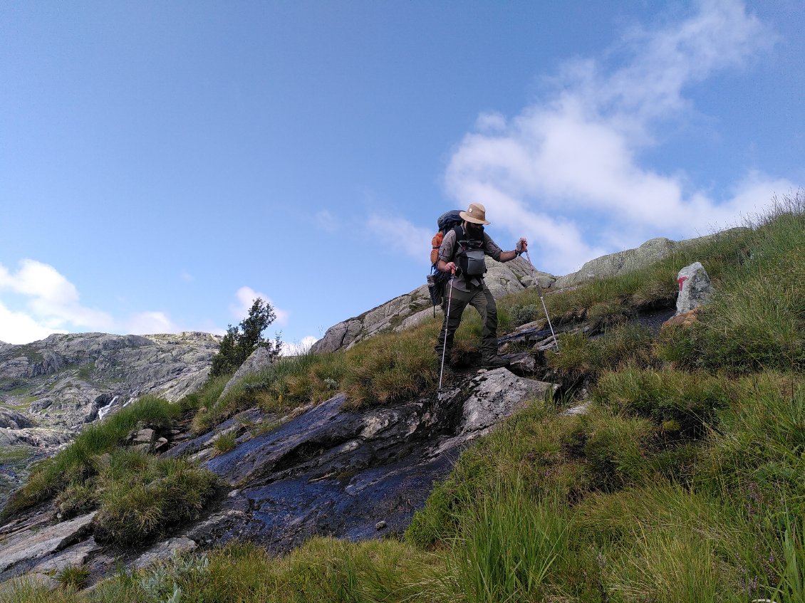 Descente sur Rembesdalsseter