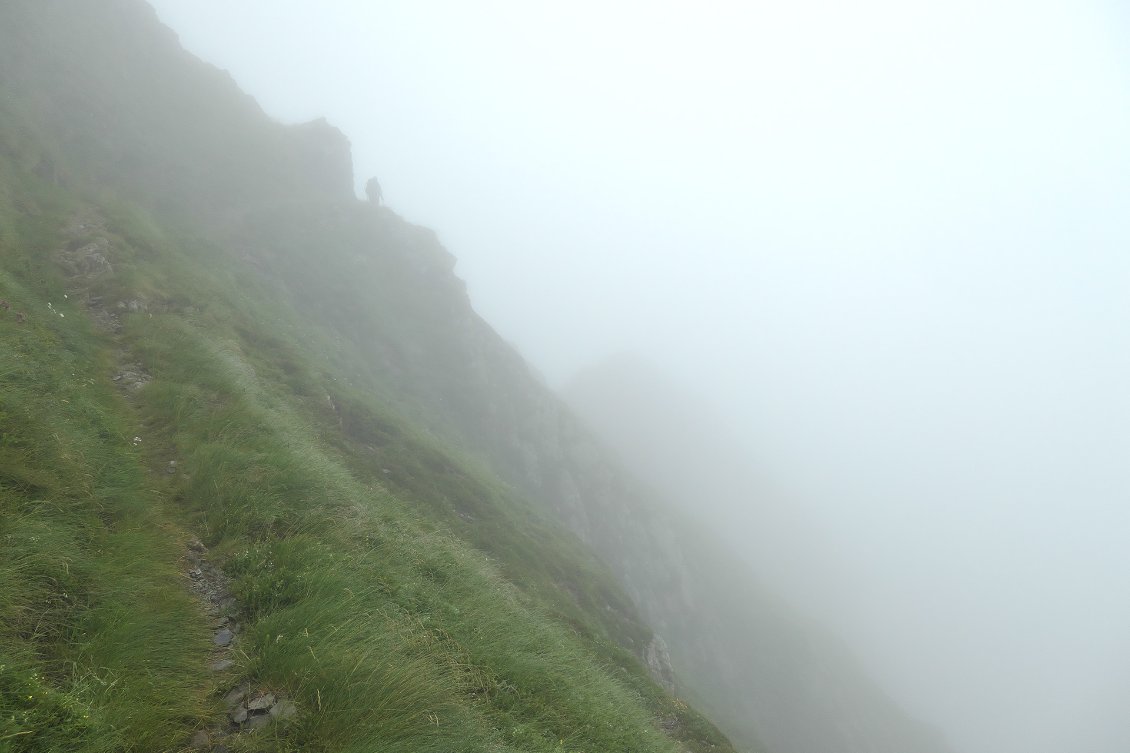 Didier nous a mis en garde : là où les estives ont été abandonnées, le gispet (prononcez "gispette), une graminée du genre Festuca et endémiques des Pyrénées, a envahit la montagne et rend la progression hors sentier dangereuse. Car mouillées (ce qui est quasiment tout le temps le cas), ces herbes sont une véritable savonnette. Mais même les cailloux sont glissants et étant donné les pentes traversées dans ce secteur, mieux vaut regarder où l'on pose les pieds.