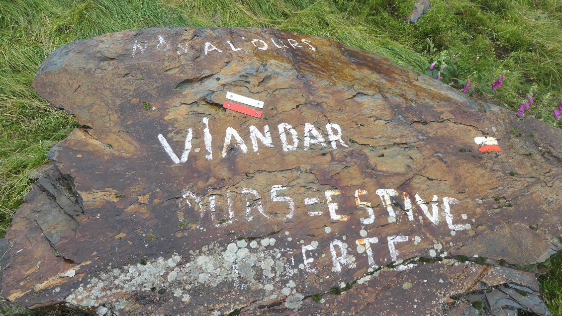 "Non à l'ours - Viandar - Ours = estive déserte". La population d'ours des Pyrénées compte environ 70 individus. Le gros de cette population se concentre aujourd'hui en Ariège, et en particulier dans le pays Couserans. Les montagnes à la fois abruptes, sauvages et boisées ne sont certainement pas étrangères à ce constat. Mais la population (humaine) ariégeoise des hautes vallées est aussi une des plus conservatrices, fortement ancrée qu'elle est dans l'agro-pastoralisme. Il y a donc conflit permanent autour de la question de l'ours et on sent là-bas plus qu'ailleurs que le sujet est délicat.