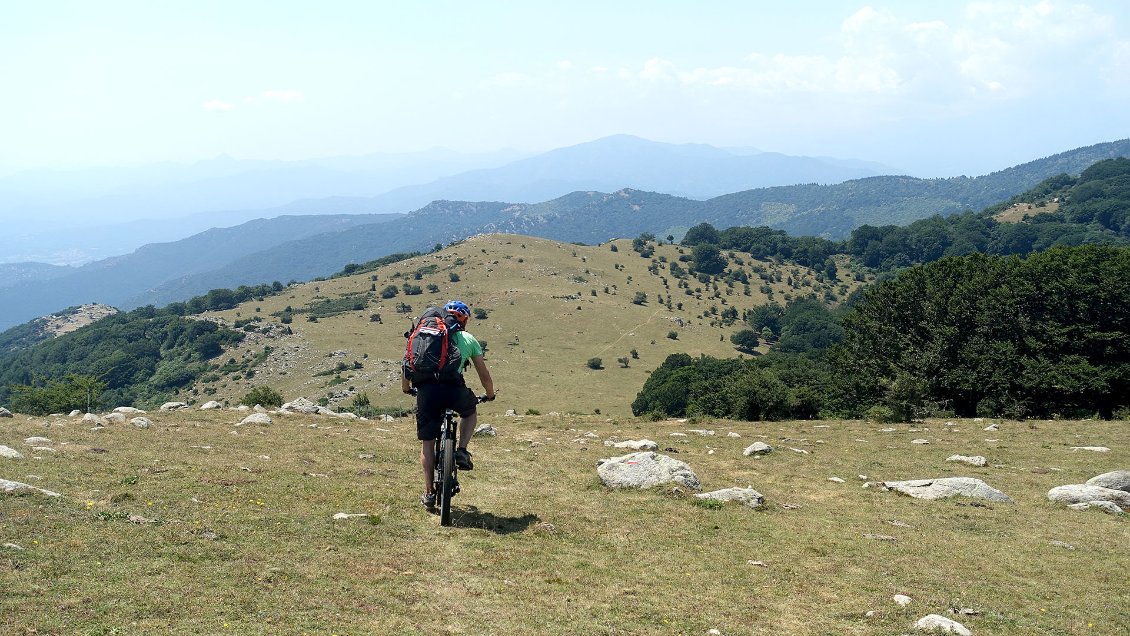 J1. Sur la crête du massif des Albères, en bordure de la réserve naturelle de la Forêt de la Massane.