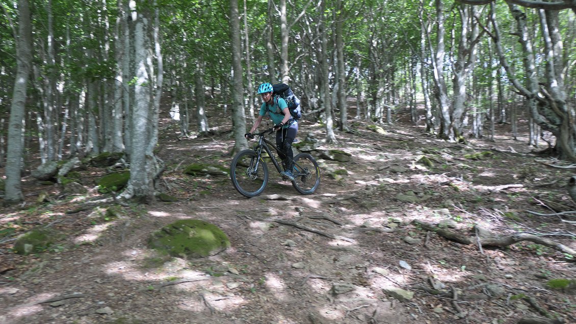 En descendant de la Collada de Sant Marti, massif du Roc de France.