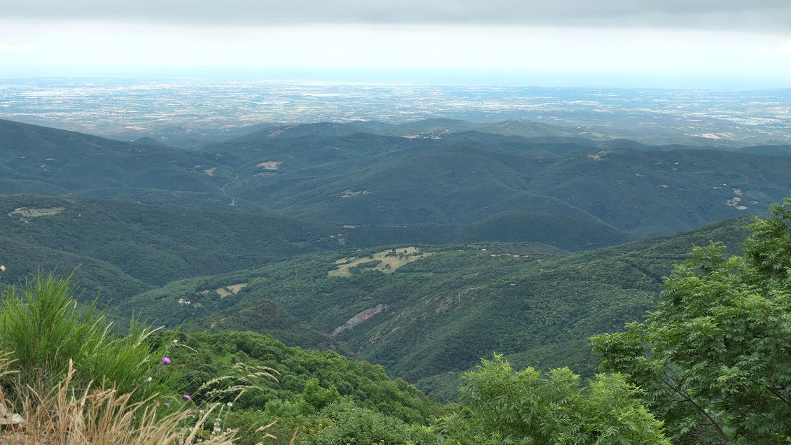 Les collines du Bas Vallespir et la plaines du Roussilon