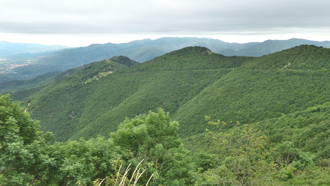 Collines du Bas Vallespir et au dernier plan, le massif du Roc de France