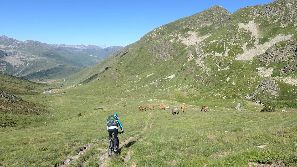 J8, descente en direction du col de Puymorens.