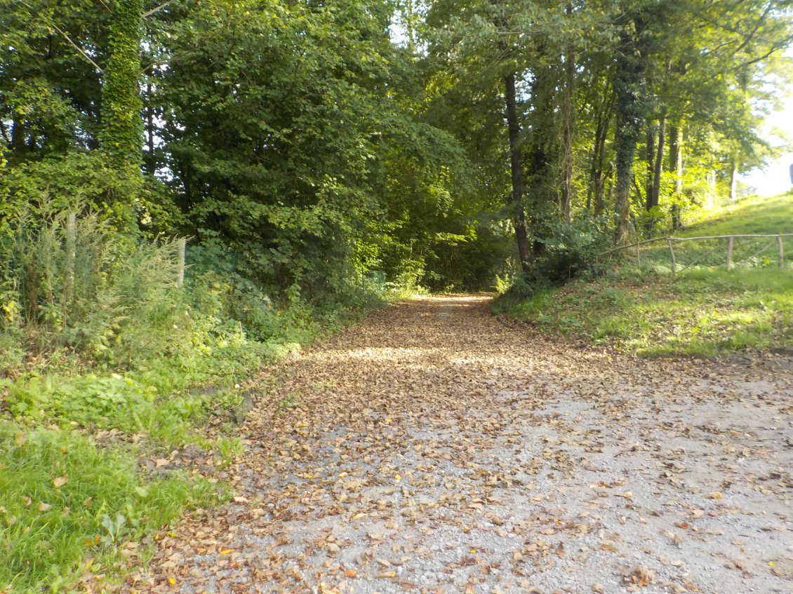 un peu de VTT