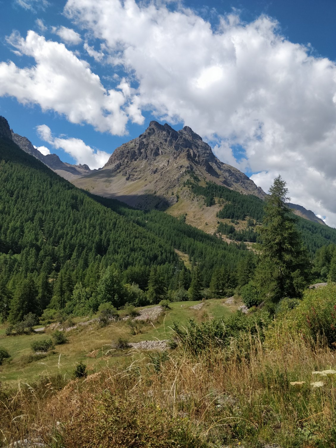 Les Ecrins