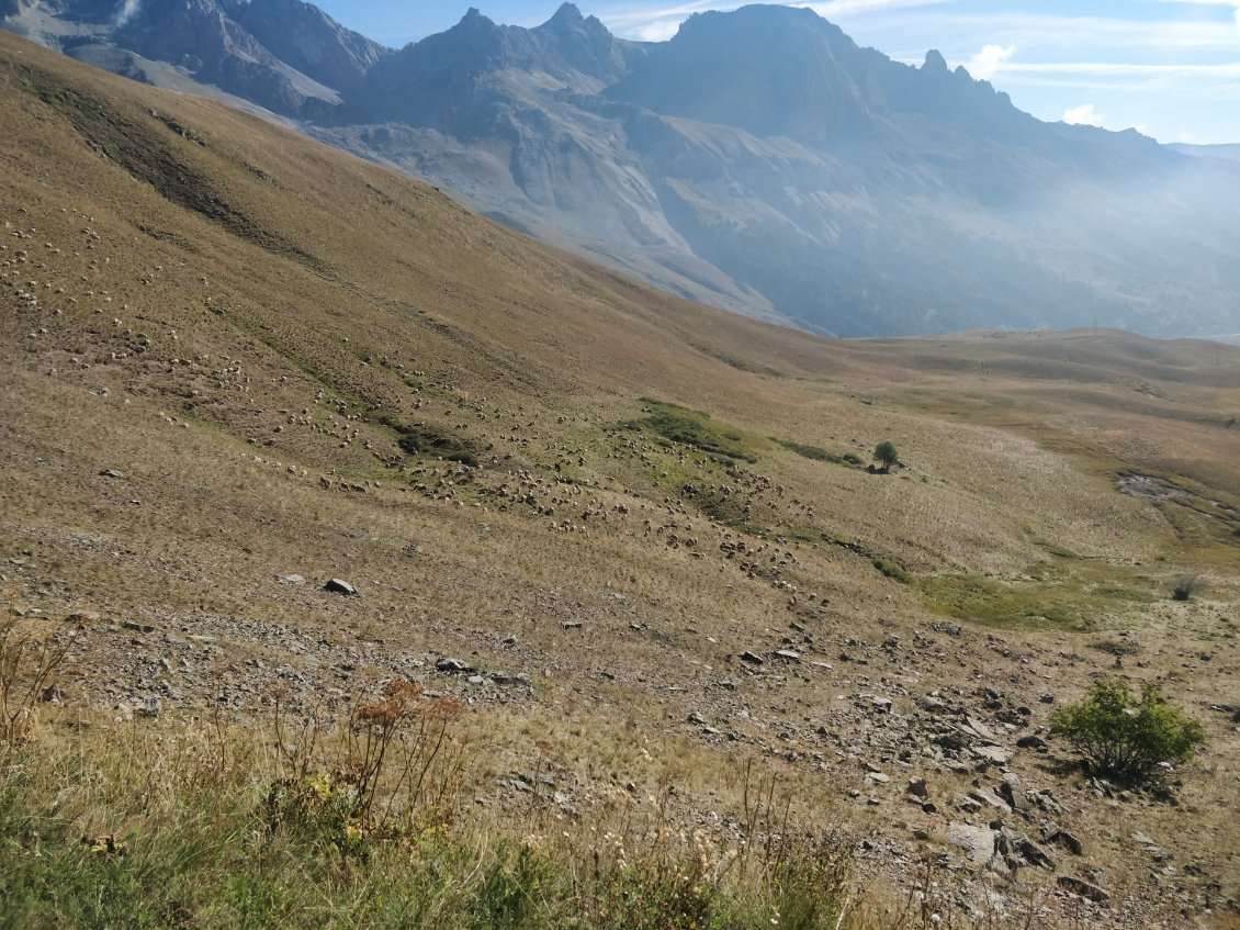 Un dernier regard vers les Ecrins