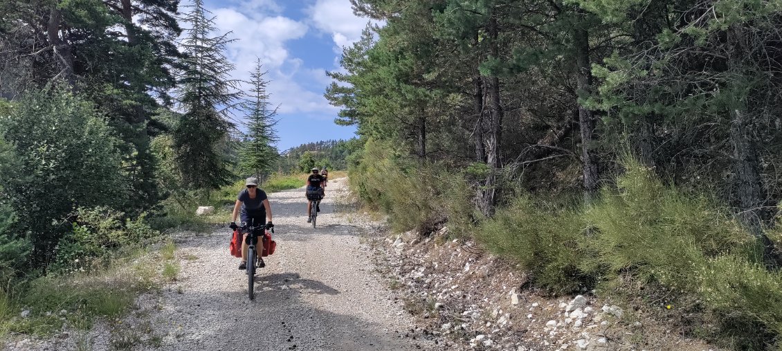 Confortable piste forestière sous le col de Séoune