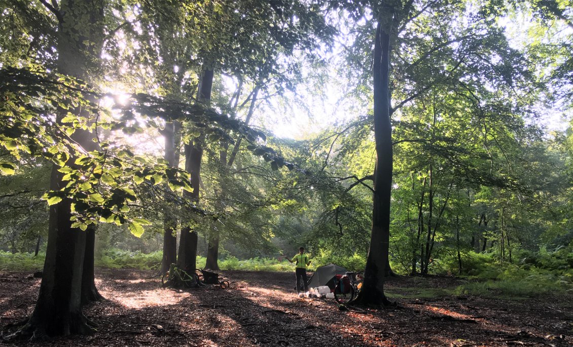 Mosquito Camp : forêt de Saint Amand Wallers