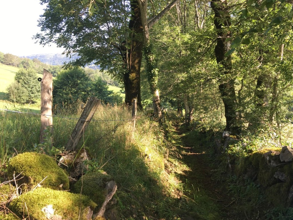 Après Espinouze