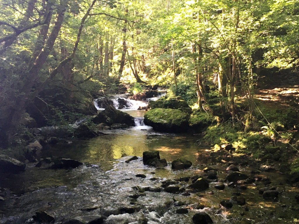 Le torrent du Mars