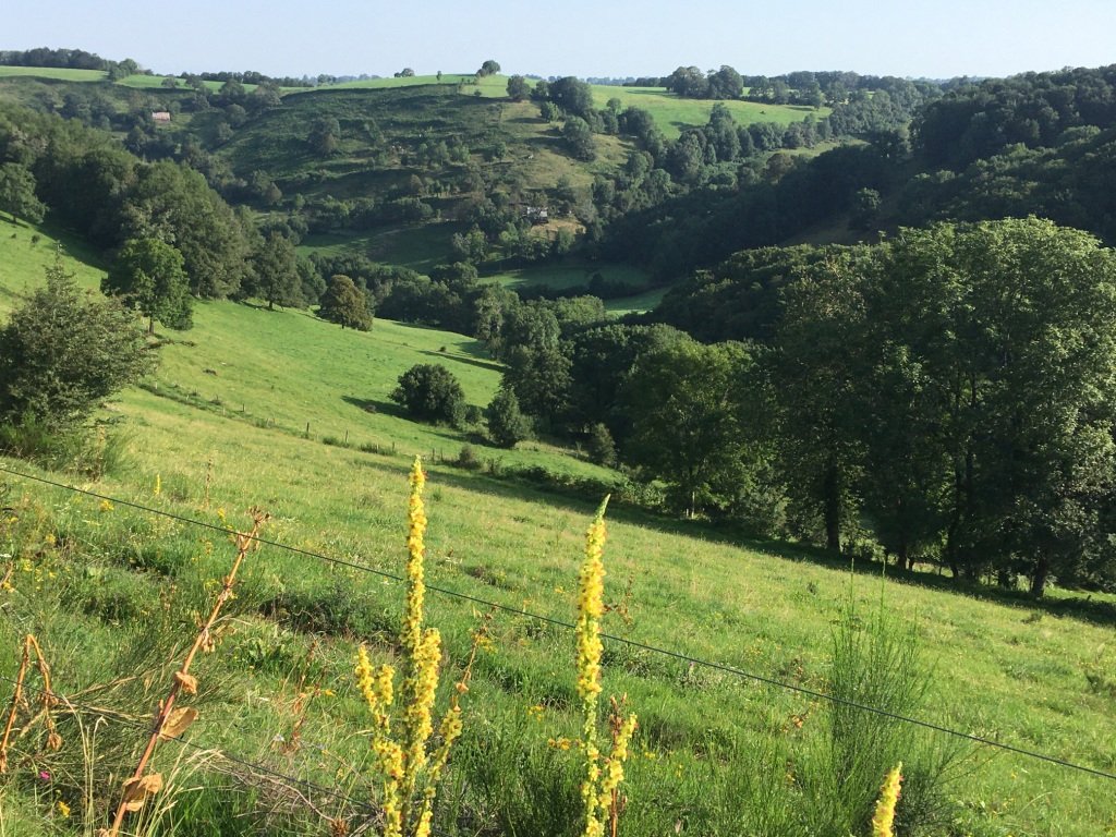 Vallon de St Rémy