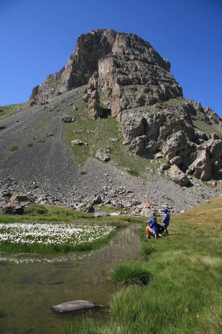 J13 : linaigrettes et grenouilles du côté du Chardonnet