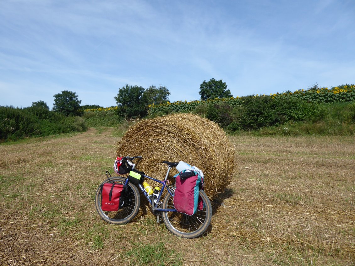 Il est bo, mon vélo!