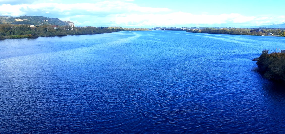 bleu du rhone