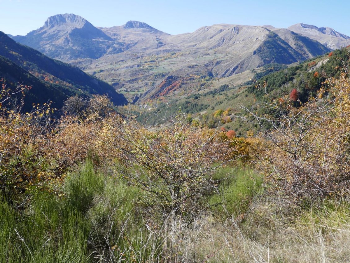 Entre Auzet et Barles ; au fond à droite le sommet culminant des Monges