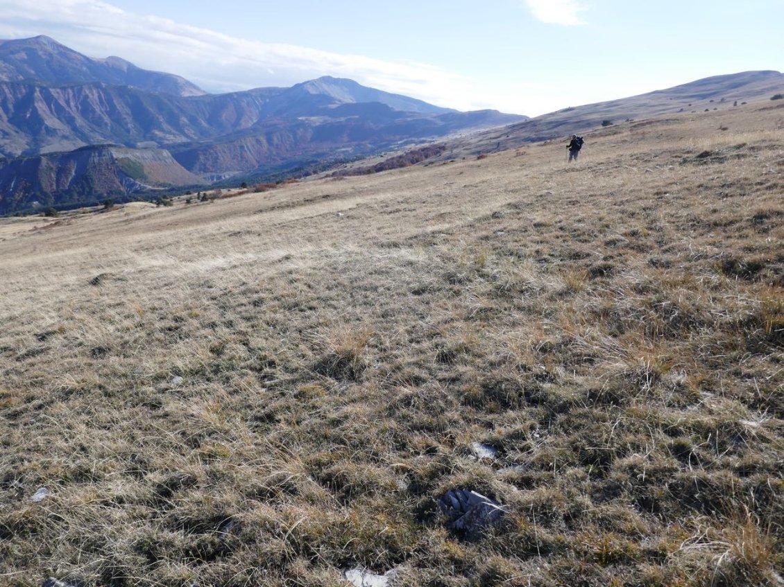 Descente dans les pâturages déserts