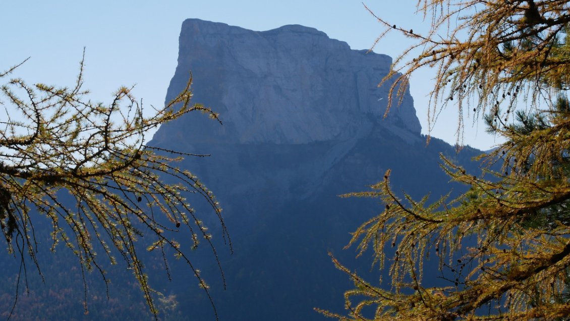 Le Mont Aiguille entre les mélèzes en feu