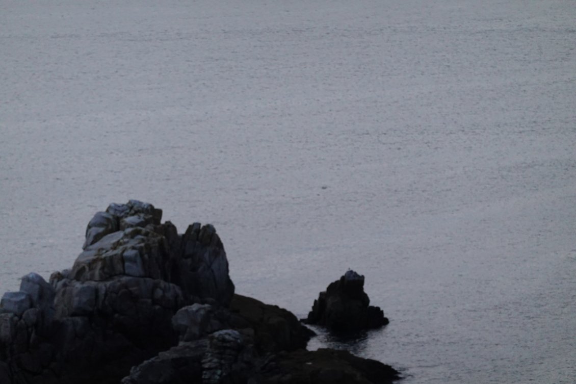 Après 48 heures passés dans l'intimité de l'océan, un banc de dauphins vient nous saluer au loin alors que nous dégustons fraternellement autour d'un feu quelques larmes maltées de Talisker.