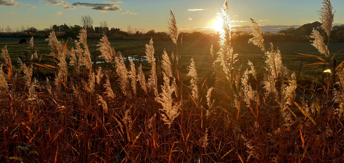 soirée d'automne - lumières douces