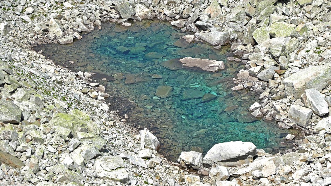 Versant occidental des Peyregnets de Cambales, haute vallée d'Arrens (Bearn).