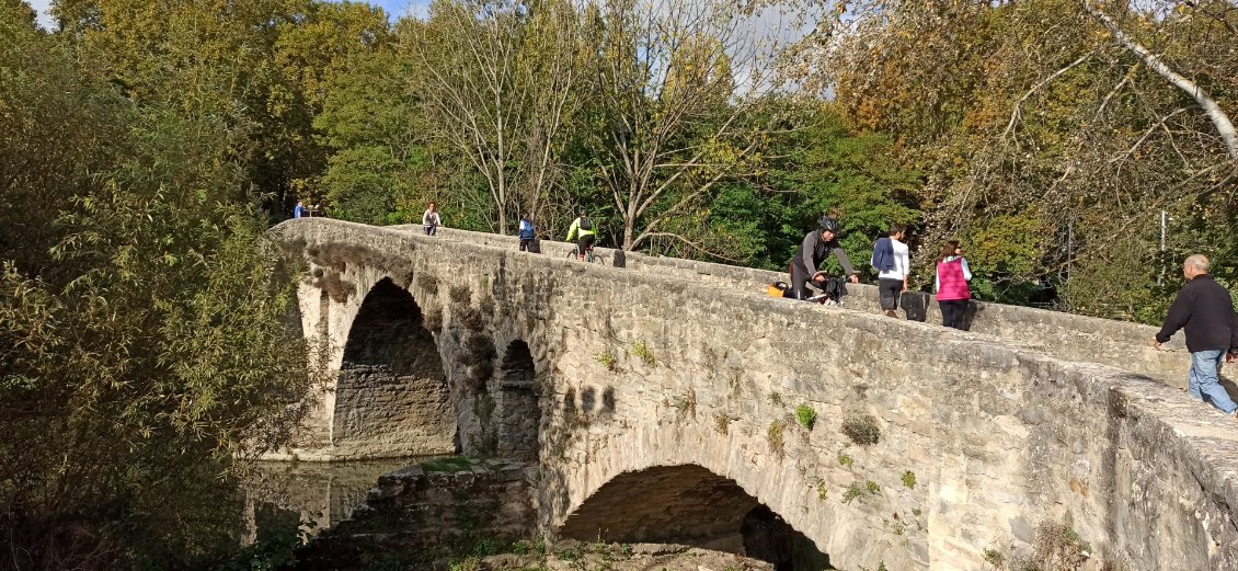 J2. Superbe pont médiéval Puente de la Magdalena à l'entrée de Pampelune. Mais où est donc Pégase au milieu de tout ce monde ?